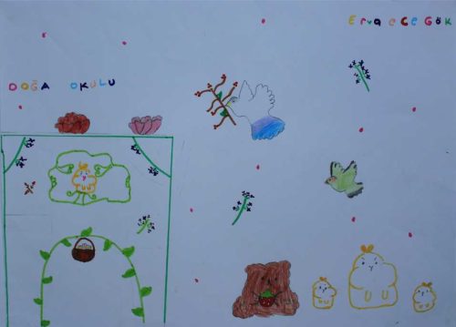 Erva Ece Gök Termik Santral İlkokulu